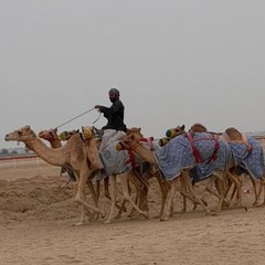 Abdul  ghani