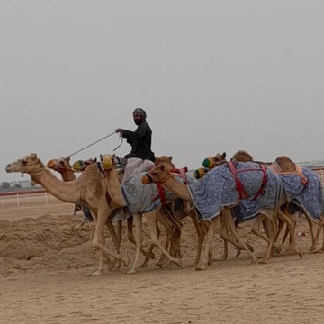 Abdul  ghani