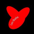 leo busha