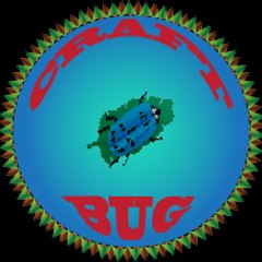 CtaftBug-008