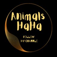 Animals HaHa