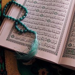 Quran verses786
