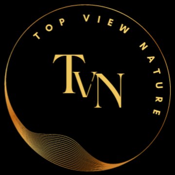 Top View Nature