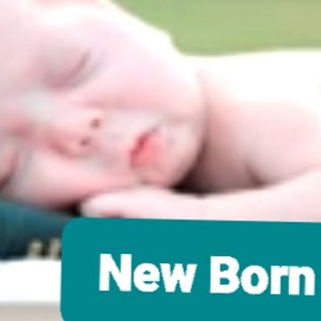 New Birth In Urdu
