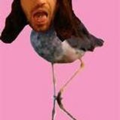 Sober Dave