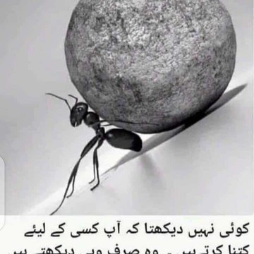Abdul Sami