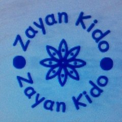 Zayankidovlog
