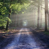 dm_51e7a6d32babfa3d100759f189f2a66f