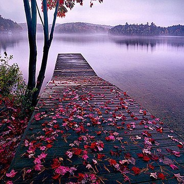 NatureBeauty