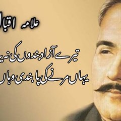 ANJUM SHAH VOICE