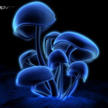 on s'en fiche un peu