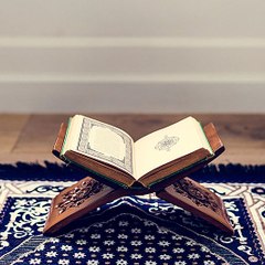Daily Quran Tilawat