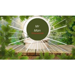 Mr Man
