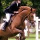 cheval-salon-2006