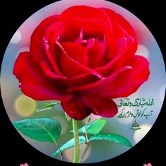 zabbi malik