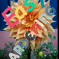 Easy Gardning