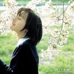 rpowaa-soleil