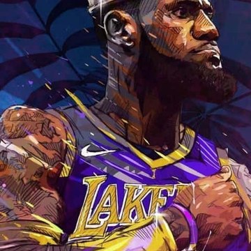 MVP 81