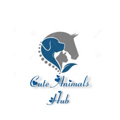 Cute Animals Hub