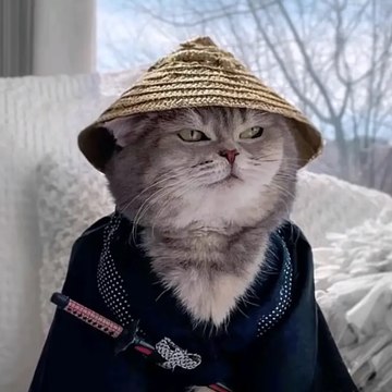 娱乐生活广场