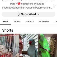 Muhammad n mithu vlogs