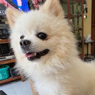 jean luc de KHUON-TOUR