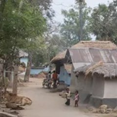 Dharti-Sakam