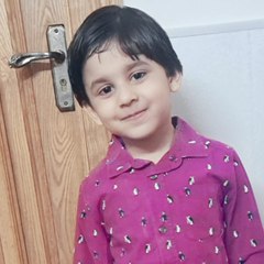 M. Wali Vlogs