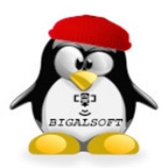 Bigalsoft Informatica