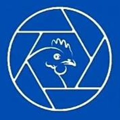 La Poule  Production
