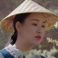 dianxi xiaoge375