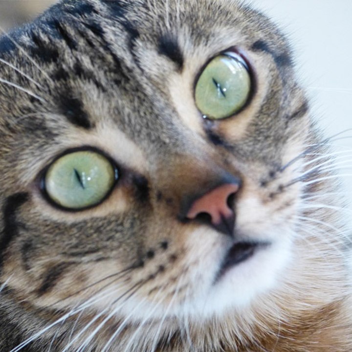 Dailymotion profile picture for @clement