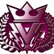 Steadygun STAFF VERTIFIGHT / 1000%