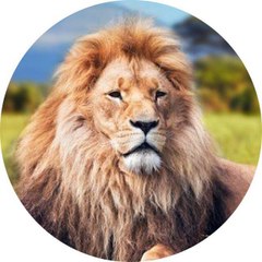 Resistance Channel (Ali)