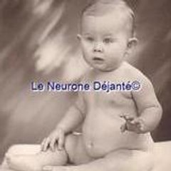 Petit Neurone