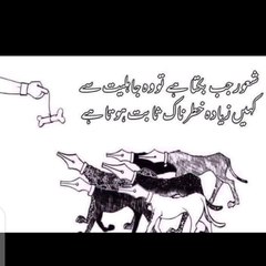 Entertainment form12