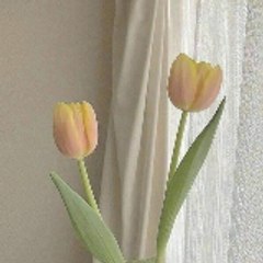 Interesting viral videos