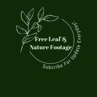 Free Nature Footage