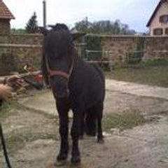 eden mon loulou