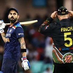 SG cricket