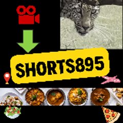 Shorts895
