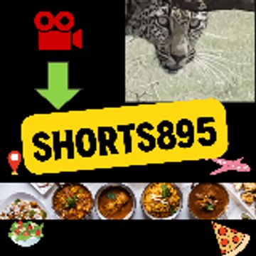 Shorts895