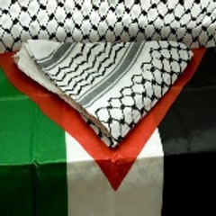 أحمد الحلواني