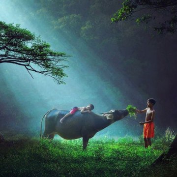 PhilaipxhiJense HD™