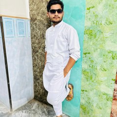 Adeel Hamza