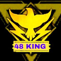 48 king