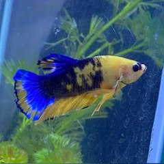 AquaDynamics Research