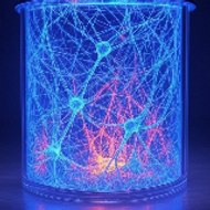 Neural Lantern