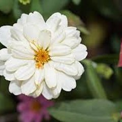 dm_e8a0ea1ae131aa63c3d7937fb4901ac5