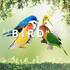 ST Bird House